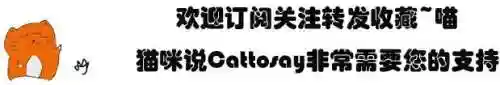 小猫爪印爱心符号(౪ᩚ゜小动物图案符号)插图11