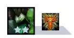 云顶之弈狂阵容搭配(新版本lol云顶之弈强势阵容推荐)插图11