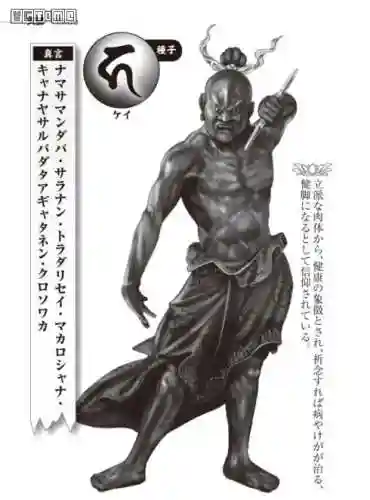 积木修罗王怎么搭配阵容(佐罗冈布奥阵容搭配)插图8