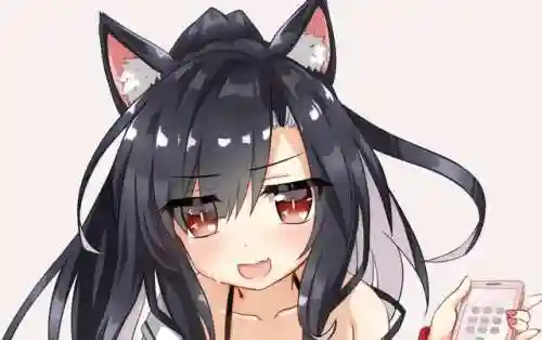 碧蓝航线时雨阵容搭配(碧蓝航线齐柏林)插图1