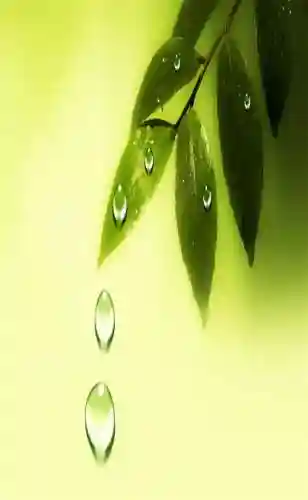 超好看的手机壁纸图片(手机壁纸图片女生专用)插图76 超好看的手机壁纸图片(手机壁纸图片女生专用)插图76