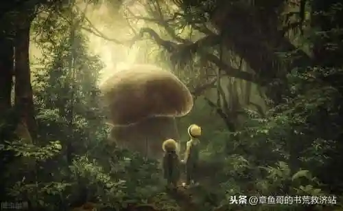 巫师的远征(巫师深渊)插图1