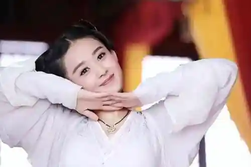 与风行配角阵容搭配攻略(西行纪阵容搭配)插图7