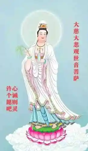 涅槃重生阵容搭配推荐图(迪奥娜阵容搭配平民)插图58