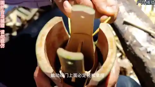 最强猎捕阵容搭配推荐平民(猎码计划平民最强阵容)插图2