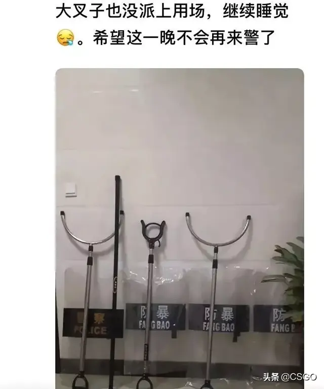 凤凰战士阵容搭配图片大全(斗罗大陆火凤凰阵容搭配)插图3