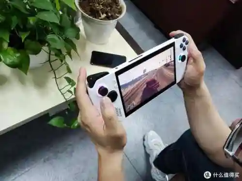 晴天队阵容搭配掌机(晴天队最强阵容)插图80