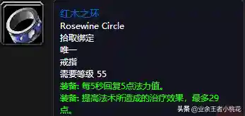 黑石塔下层掉落(wow副本掉落物品查询)插图29