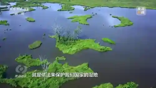 体球网手机比分(体球网足球官网)插图3