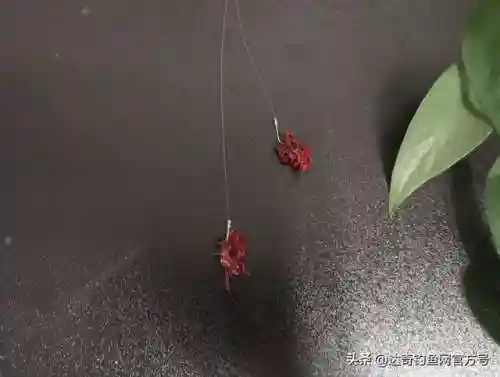 战双深红蚯蚓阵容搭配(战双帕弥什t0阵容)插图1