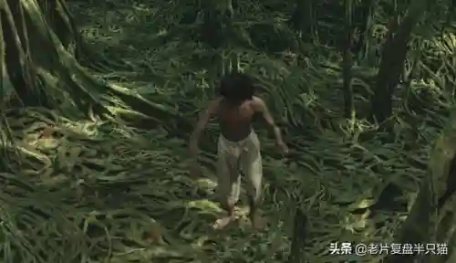 少年派的奇幻漂流(少年派隐喻深度解析)插图54