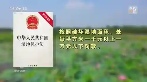 体球网手机比分(体球网足球官网)插图17