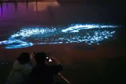 山中核一阵容搭配(桃园盾t0队伍搭配指南)插图21