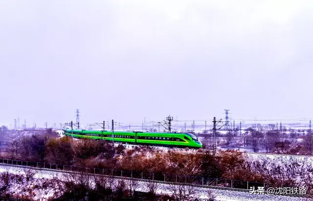 火车余票查询12306(身份证号一键查询车票)插图3