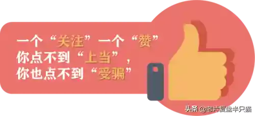 少年派的奇幻漂流(少年派隐喻深度解析)插图76