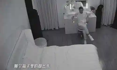 挑战鬼屋推荐阵容搭配图片(屋顶困难模式最佳阵容)插图20 挑战鬼屋推荐阵容搭配图片(屋顶困难模式最佳阵容)插图20