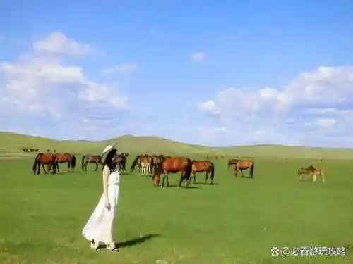 驯鹿部落推荐阵容搭配攻略(部落冲突阵容推荐)插图2