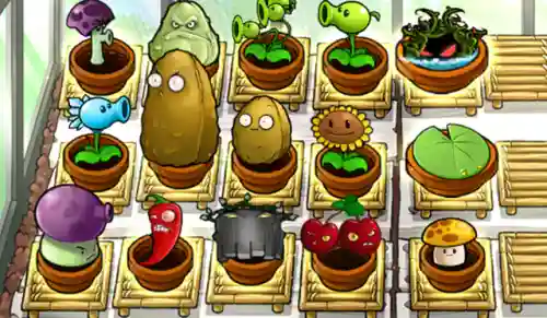 植物大战僵尸禅境花园(pvz禅境花园版本下载)插图1