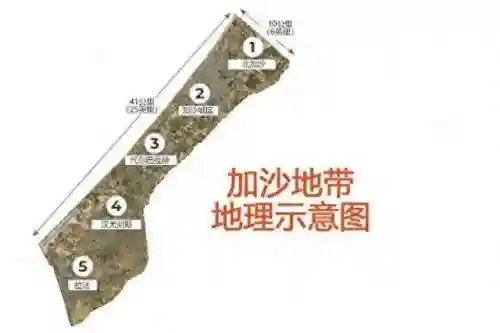 无尽对决边路阵容搭配图(无尽守护最强阵容推荐)
