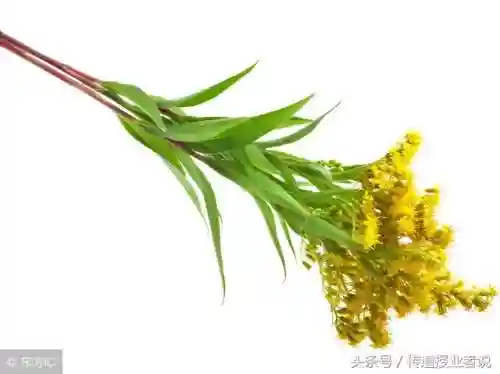 打一生活用品的谜语(日常生活用品谜语大全及答案)插图1