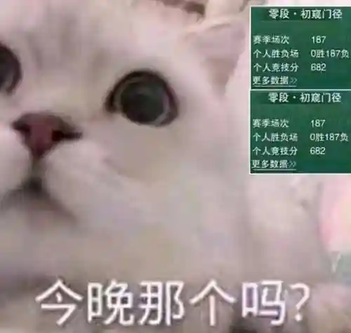 好听的帮派名字(创意新潮公司名字)插图2