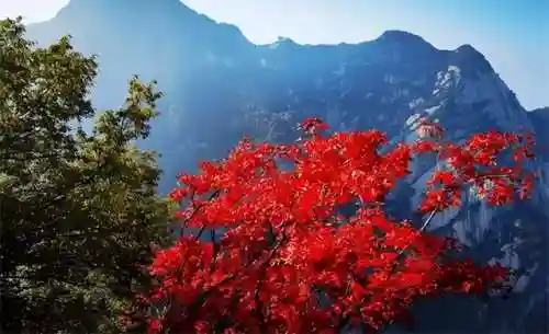 西安必去的10个景点(西安旅游必去景点介绍)插图7