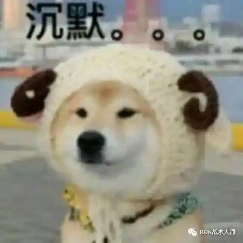 关羽阵容体系搭配什么英雄(三国志战略版关羽最强阵容)插图47