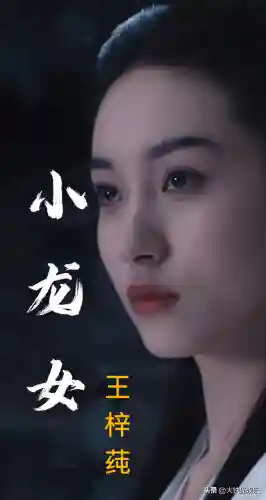 新版神雕侠侠侣2020(神雕侠侣下载电视剧)插图6
