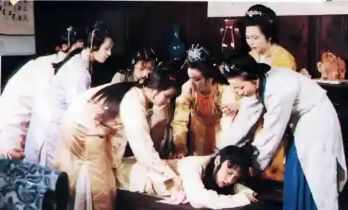 贾政令宝钗扶着树干的故事是什么(贾政和宝钗去了小树林是哪一回)