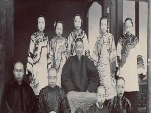 乱世逐鹿张春华阵容搭配(张春华开荒阵容)插图9