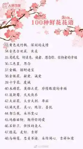 所有花语大全(花语经典语录)插图2