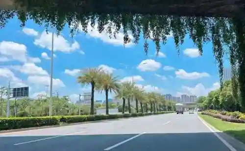 台风最新消息台风(实时风向风速查询)