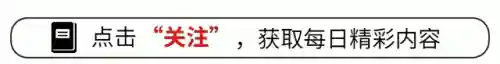 格斗超人最强组合阵容搭配(闪烁之光最强阵容)