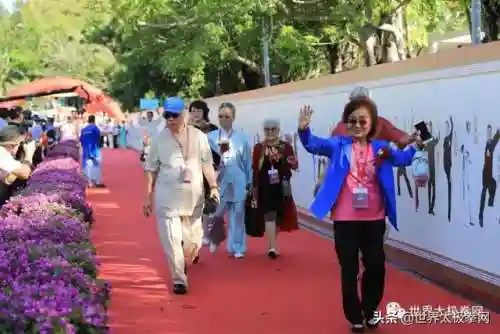 太极演员阵容搭配图片(云太极新款太极表演服装)插图34