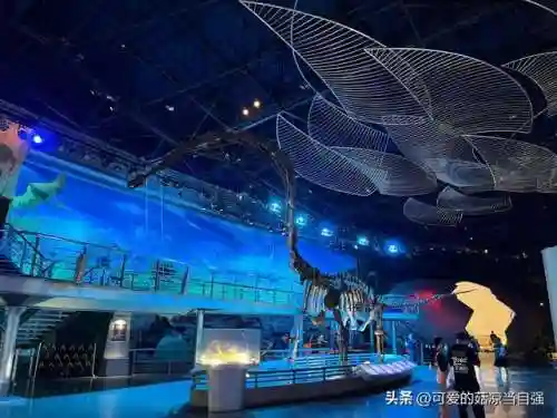 梦幻恐龙园阵容怎么搭配(梦幻恐龙园最强史诗龙)插图2
