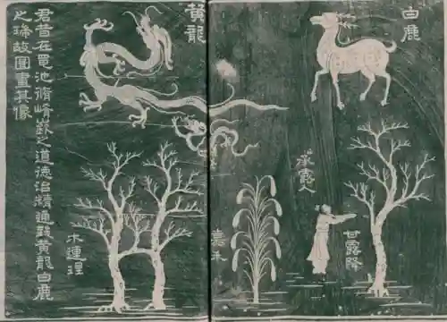 鲸吞天地阵容搭配攻略最新(离鲸鲸阵容配置要求)