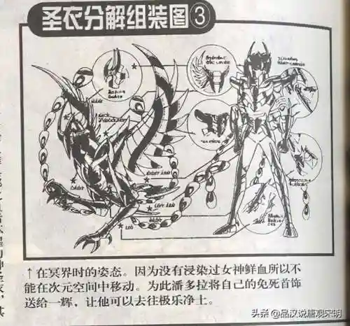洛克王国华贵天鹅超进化(洛克王国巨翎天鹅亲密度)插图15