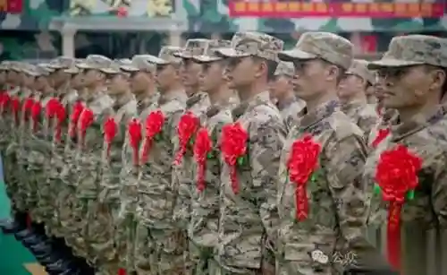 光荣使命军用升级版激活码是多少(光荣使命游戏手机版)