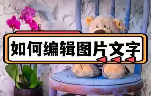 图片编辑器修改文字(pdf编辑器免费版)