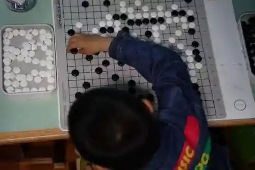 下棋初期阵容搭配推荐软件(新版下棋阵容推荐)插图24