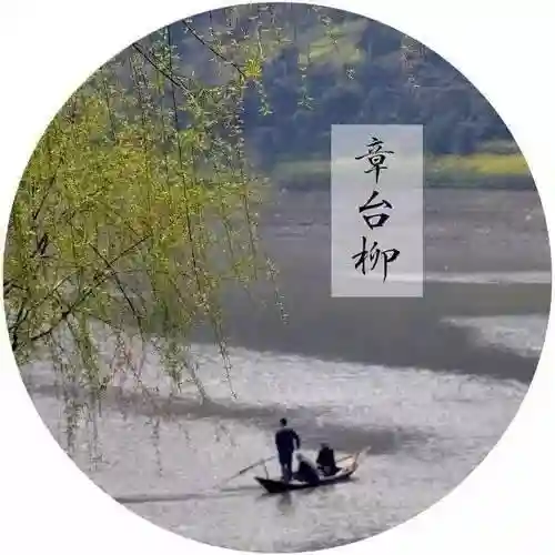 原神纳兰阵容搭配攻略(神法阵容)