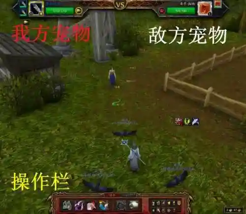 魔兽世界宠物对战怎么玩(wow宠物对战升级攻略)插图4