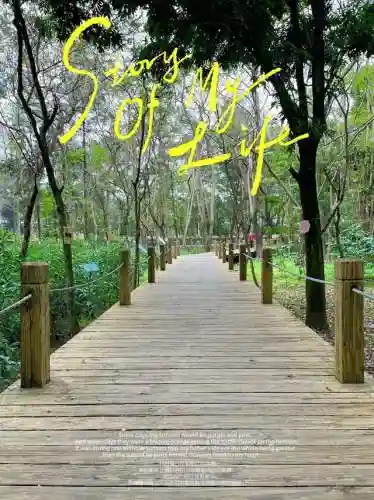 天选森林大树阵容搭配(大树头森林餐厅)插图6