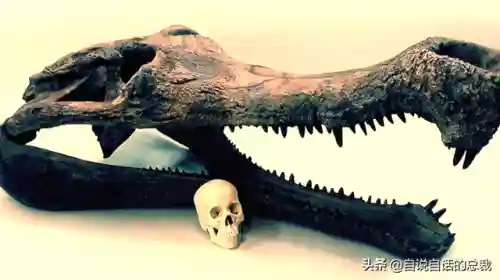 远古巨兽大复活(上古神兽饕餮电影免费)插图59 远古巨兽大复活(上古神兽饕餮电影免费)插图59