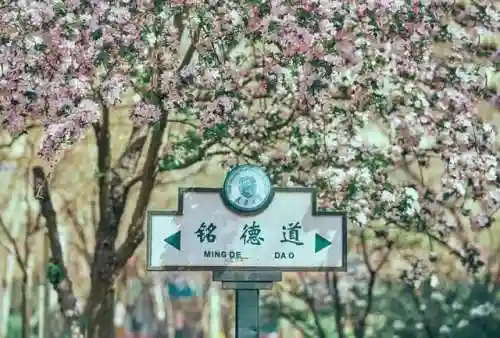 海棠文化线上文学城入口2023(海棠书屋入口myhtlmebookmyhtl下载)插图1