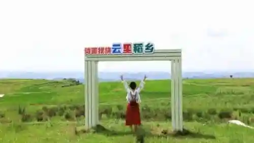 雷电将军阵容搭配夜览(打雷电将军用什么阵容)插图22