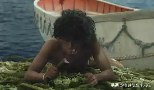 少年派的奇幻漂流(少年派隐喻深度解析)插图28