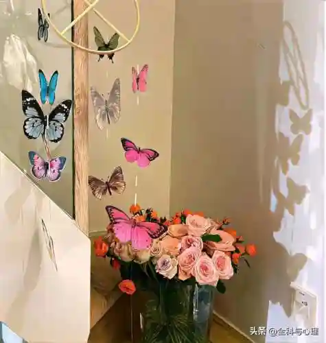 对某人失望心寒的说说(把一个人的心伤透了怎么挽回)插图5