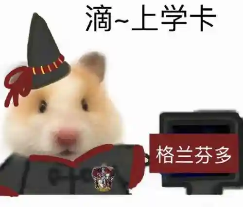 哈利波特鹰蛇阵容搭配(哈利波特天赋排名)插图2
