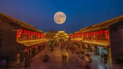 山中核一阵容搭配(桃园盾t0队伍搭配指南)插图40